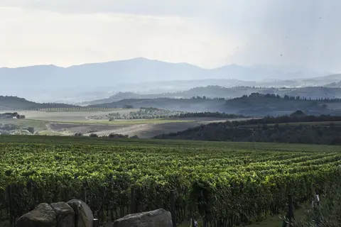 Foresteria Podere Brizio in Montalcino — foto 20