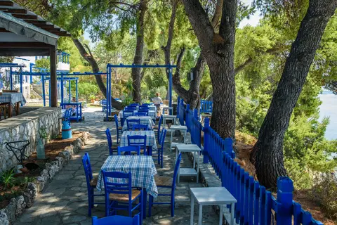 Virginia Hotel in Δημοτική Ενότητα Σιθωνίας — foto 25