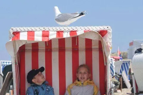 Hotel Restaurant De Boegschroef foto 24