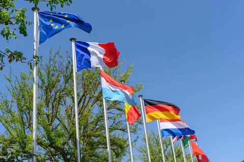 Domaine Les Gros Joncs foto 4