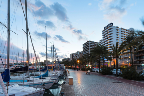 Hotel Palma Bellver by Melia foto 27