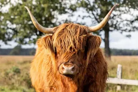 Grenzeloos Slapen-Eten-Beleven foto 31