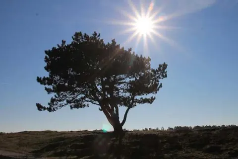 Hotel Bosch Duin Strand foto 14