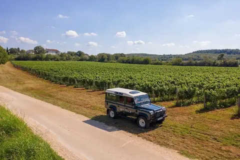 Roxanich Wine & Heritage Hotel in Motovun — foto 19