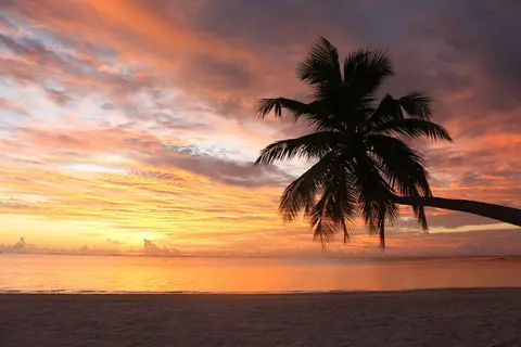 Canareef Resort Maldives in ހިތަދޫ — foto 5