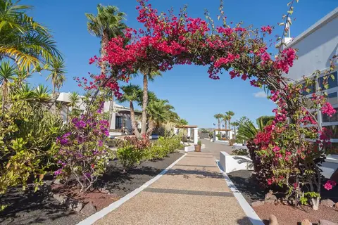 Jardines del Sol in Yaiza — foto 13