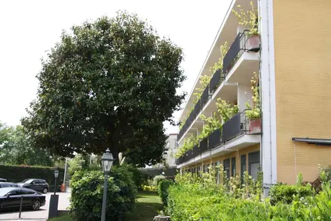 Culture Hotel Villa Capodimonte in Napels, foto 2