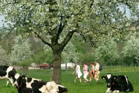 Hotel Blanckthys foto 13