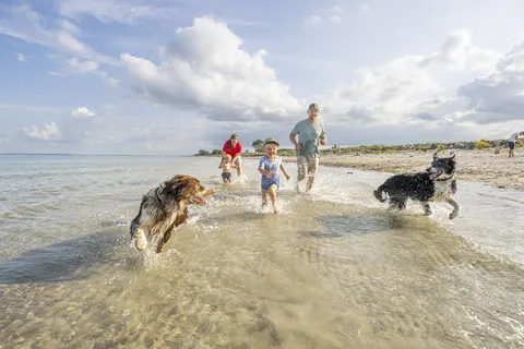 Ostsee Resort & Ferienpark Dampland foto 22