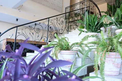Lotus Hotel in Несебър — foto 7