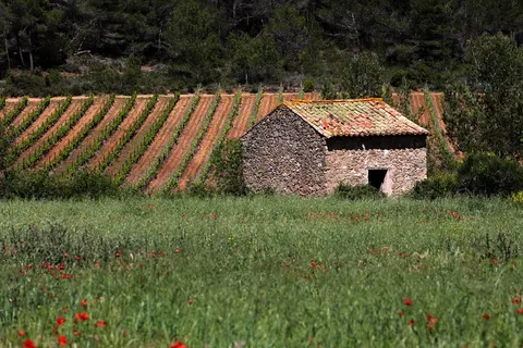 Camping De L Olivigne foto 21