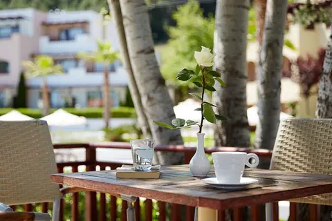 Aegean Melathron Thalasso Spa Hotel in Καλλιθέα — foto 8