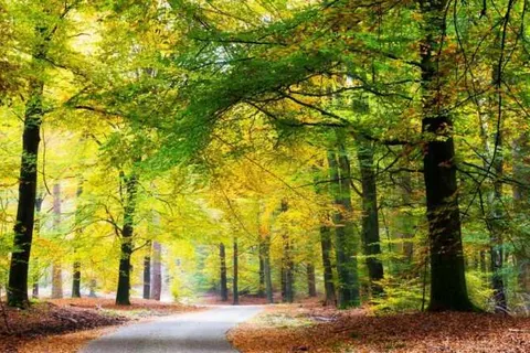 Landgoed Stakenberg foto 15