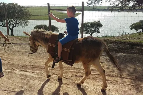 Hotel Rural Vila Gale Alentejo Vineyards foto 39