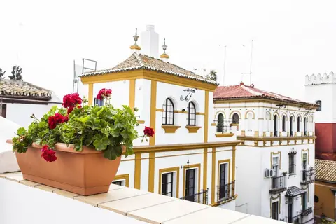 Hotel Boutique Elvira Plaza in Sevilla, foto 12
