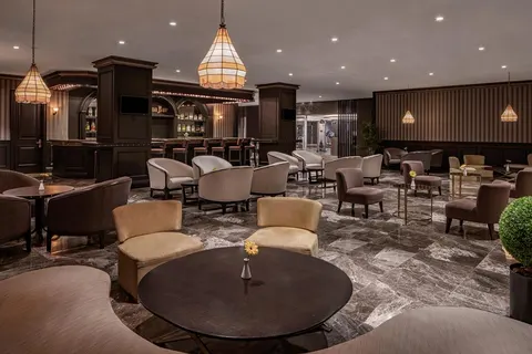 Papillon Belvil foto 4