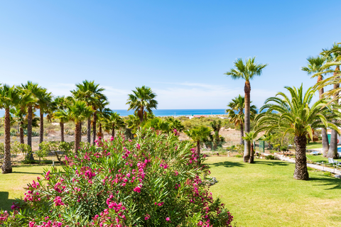 Appartementen Praia da Lota foto 3