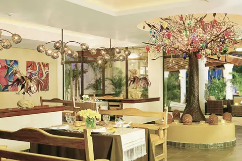 Hyatt Vivid Punta Cana in Salvaleón de Higüey, foto 17