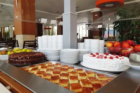 Hotel Aleksandar in Rafailovići — foto 9