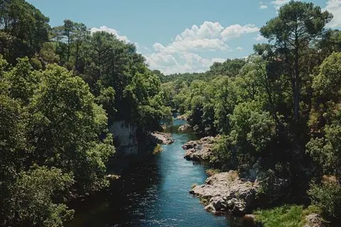 CCnomie Hotel & Restaurant foto 32