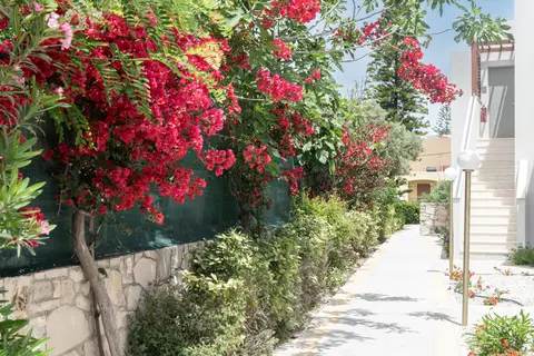 Sirios Village in Daratsos — foto 18