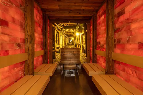 IFA Alpenhof Wildental - Adults only in Mittelberg — foto 15