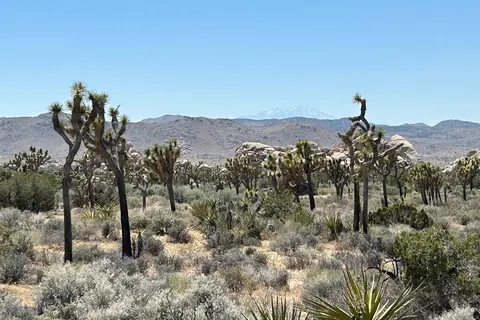 West-Amerika op het gemak foto 15
