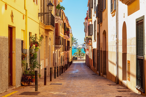 Hotel Palma Bellver by Melia foto 24