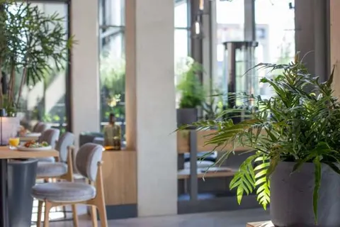 Hotel Rosveld foto 20