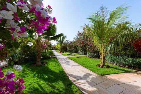 Royal Horizons Baobab in La Somone — foto 18