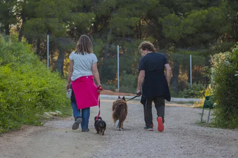 Camping Terra Alta foto 2