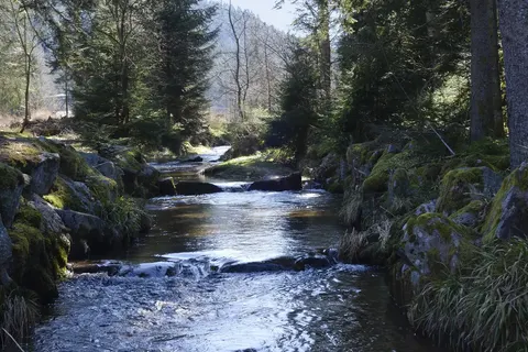 Ontdek Elzas en Vogezen foto 10