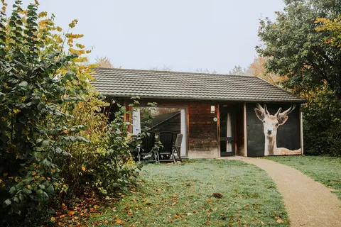 Vakantiepark Dierenbos in Vinkel — foto 3