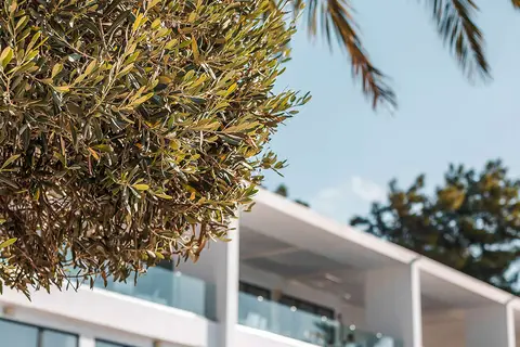 Hotel Ellia in Lindos — foto 18