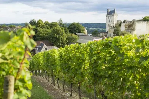 Hotel La Croix Blanche in Fontevraud-l'Abbaye — foto 18