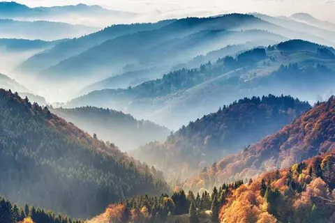 Hotel Gasthaus Adler foto 37