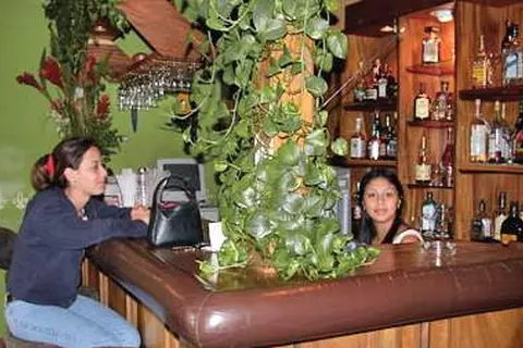 Fleur de Lys in San José