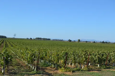 Vakantiepark Antico Borgo Casalappi foto 9