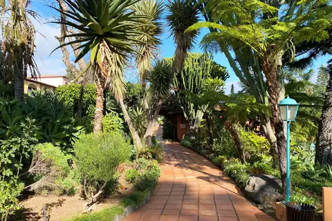 Quinta Splendida Wellness in Caniço — foto 49