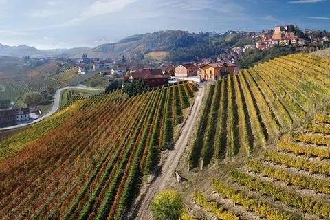 Agriturismo Mongalletto in Castellinaldo d'Alba — foto 2