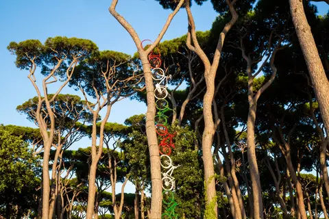 Camping hu Park Albatros Village in San Vincenzo, foto 12