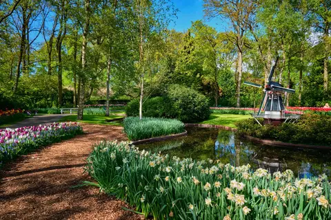 Fietscruise voorjaarstour tulpen en Nederlands erfgoed met De Holland in Westerveld — foto 12