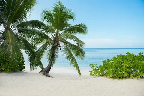 AVANI Barbarons Seychelles Resort foto 4