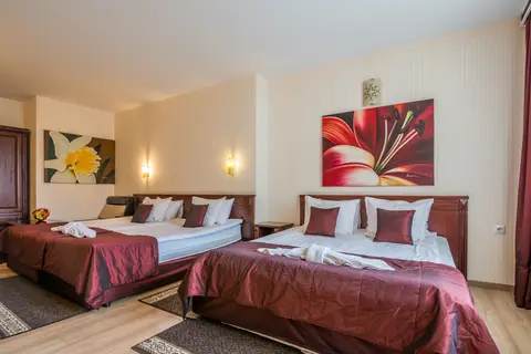 Hotel Aris in Sofia — foto 8