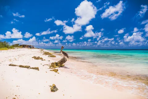 Cruise Curaçao en Caribische Parels incl. verlenging 4* All Inclusive hotel in Willemstad — foto 10