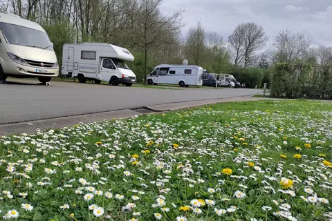 Camping Urban Gardens Ieper foto 5