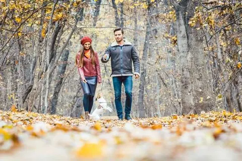 Trans World Hotel Auefeld foto 15