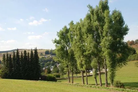 Pension Robin Hood foto 30