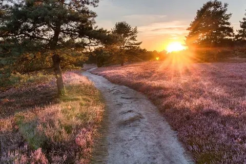 Hotel Theater Figi foto 27