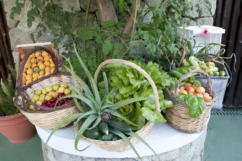 Paradise Relais Villa Janto in Ischia — foto 14